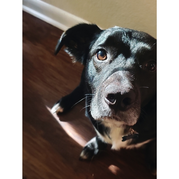 ๐ฆ - Picture 1 of 5